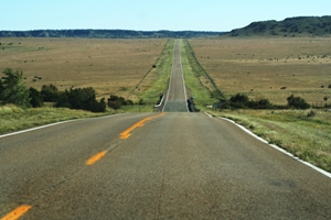 Navigating the long road ahead Navigating the long road ahead